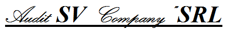 auditsvcompany.md